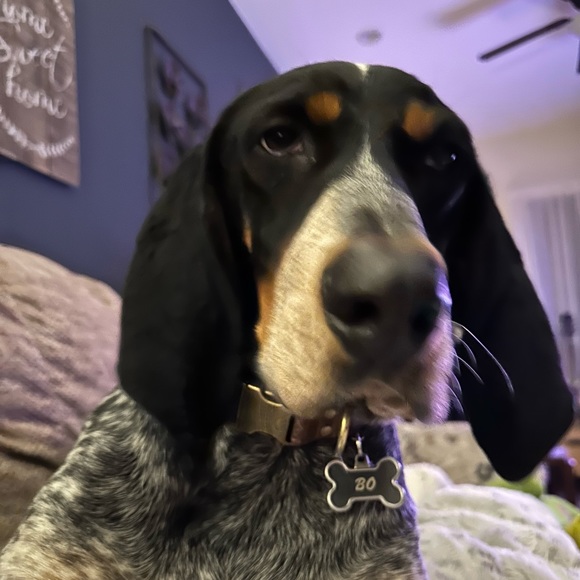 Meet your Posher, Lisa - Picture 10 of 12